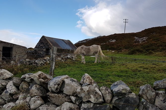 From Galway: Guided tour of Connemara with 3 hour stop at Connemara National Pk. - Choosing between Diamond Hill and Kylemore Abbey