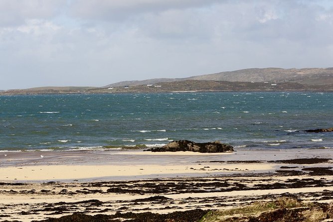 From Galway: Guided tour of Connemara with 3 hour stop in Kylemore Abbey - Why the guide can make or break the day