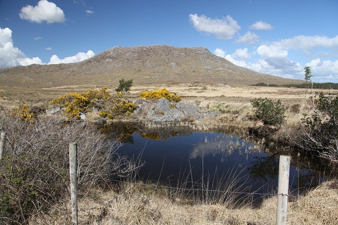 From Galway: Guided tour of Connemara with 3 hour stop in Kylemore Abbey - Screeb Lough and the first Connemara views