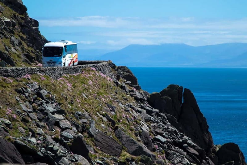 From Killarney: Dingle and Slea Head Peninsula Day Tour - Why this Killarney to Dingle trip works