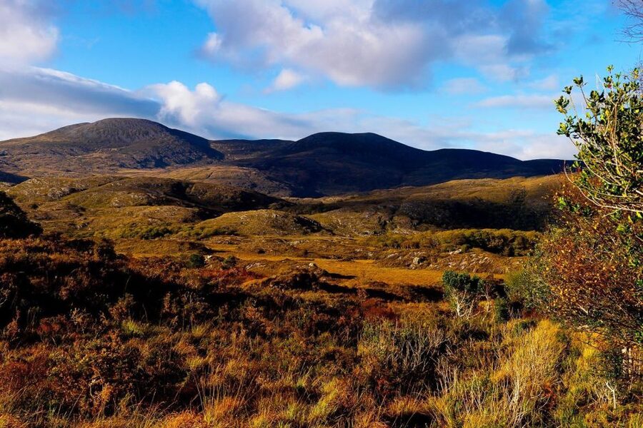 From Killarney: Ring of Kerry Full-Day Tour - Torc Waterfall and Friers Glenn