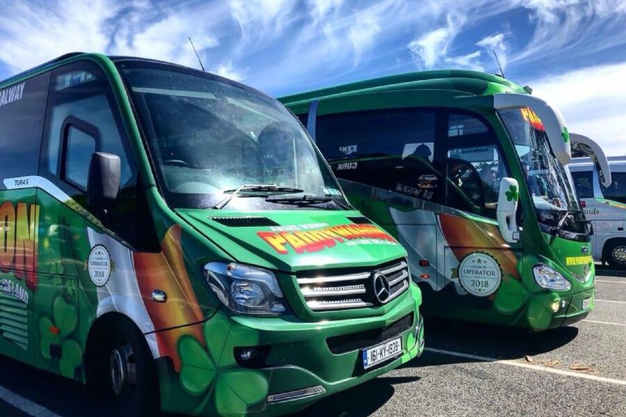 From Killarney: Ring of Kerry Full-Day Tour - Who should take this tour?