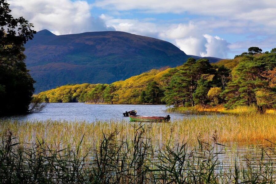 From Killarney: Ring of Kerry Full-Day Tour - Leaving Killarney for Killorglin and Dingle Bay