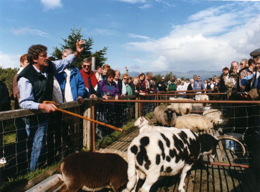From Killarney: 'Ring of Kerry' Mountain Road 1-Day Bus Tour - Extra stops and entrance fees