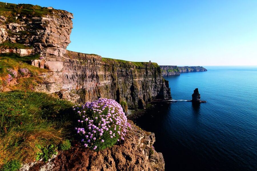 From Limerick: Full-Day Guided Tour of Cliffs of Moher - Should you book it?