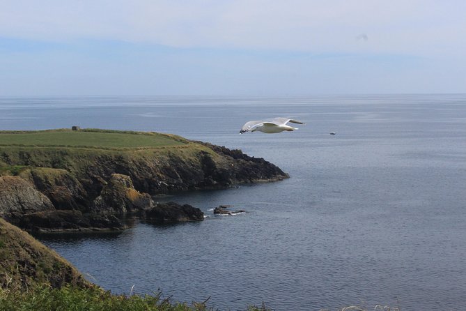 Full day Private Tour from Waterford - Key points to know before booking