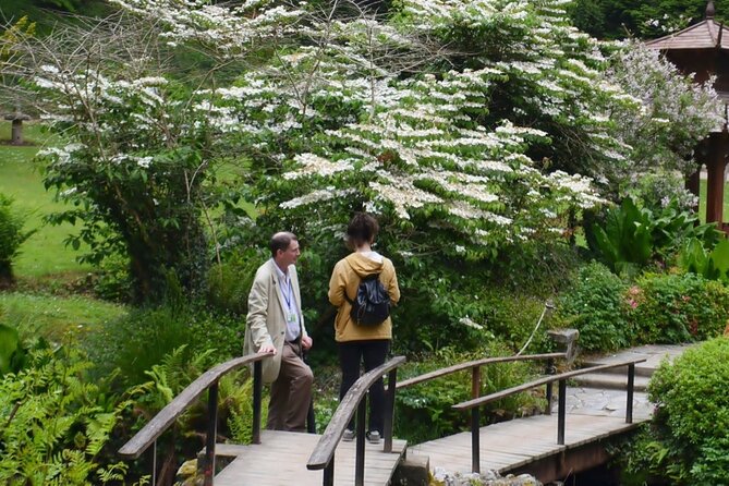 Full Day Private Wicklow Tour - Price and value for different group sizes