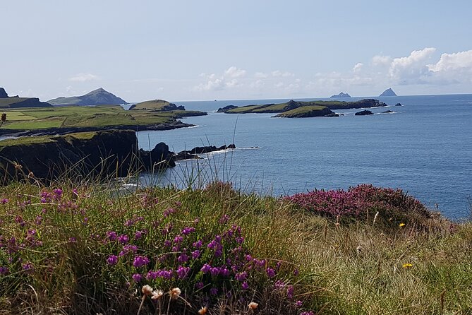 Full-Day Ring of Kerry Tour from Killarney - Why the Ring of Kerry works well by bus