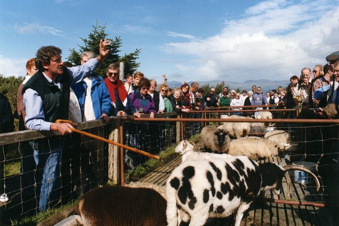 Full-Day Ring of Kerry Tour from Killarney - Molls Gap, Sneem, and the mountain roads