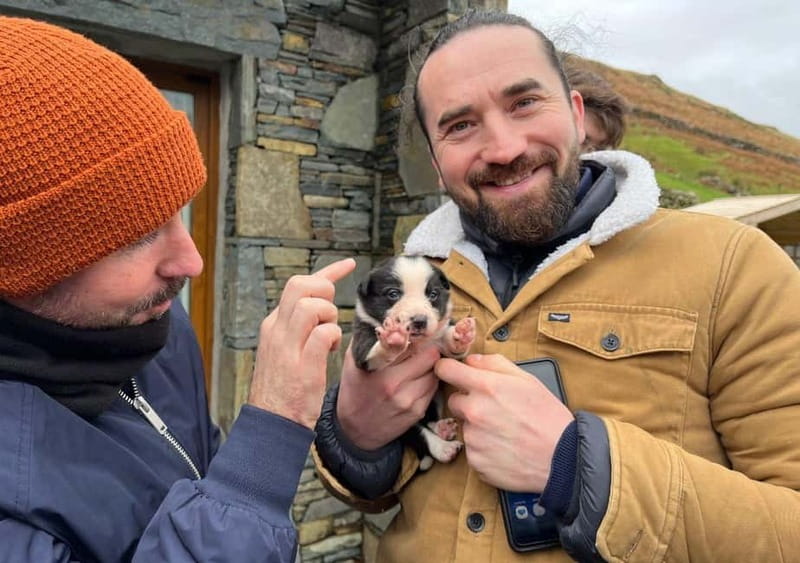 Galway: Connemara, Sheepdog Show and Medieval Castle Tour - Why this tour works well from Galway