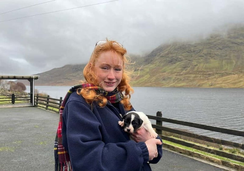 Galway: Connemara, Sheepdog Show and Medieval Castle Tour - Through the Twelve Bens and Connemara country