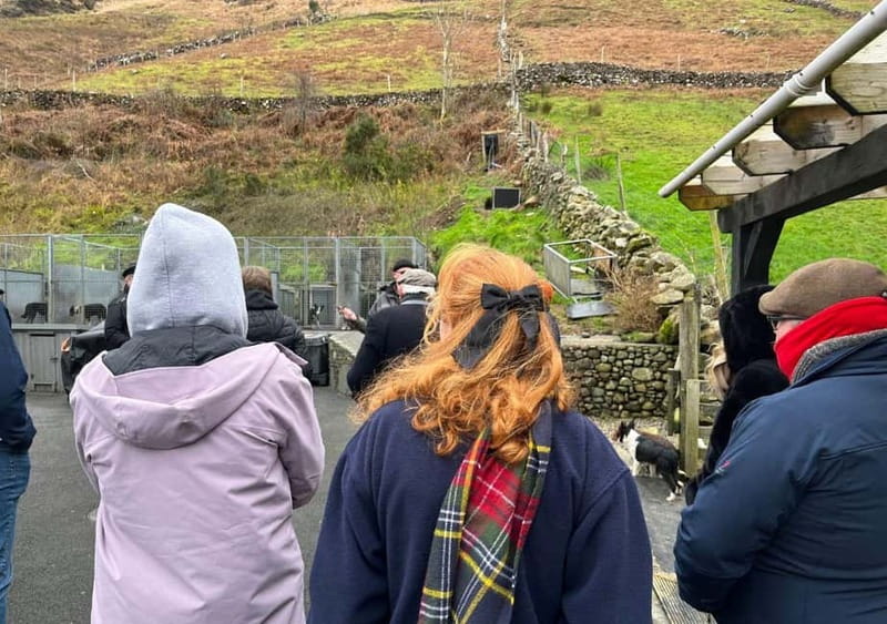 Galway: Connemara, Sheepdog Show and Medieval Castle Tour - Leenane, a mountain village between two counties