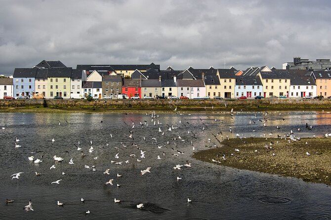 Galway Private Walking Tour - The Spanish Arch and Galway’s waterfront edge