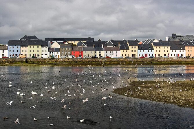 Galway’s Historical Gems: A Walk Through Time - The Browne Doorway and Galway’s merchant past