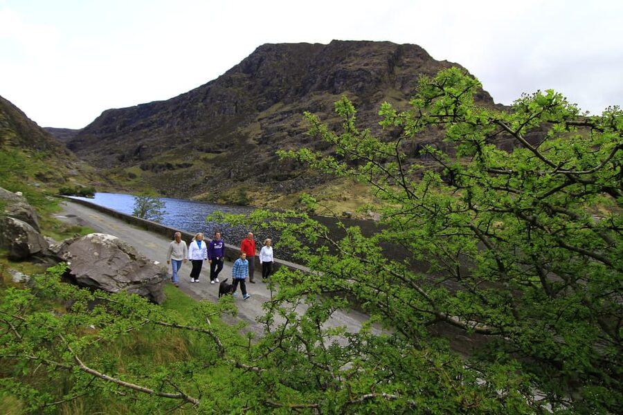 Gap of Dunloe & Lakes of Killlarney Boat Tour - Taking a jaunting cart instead