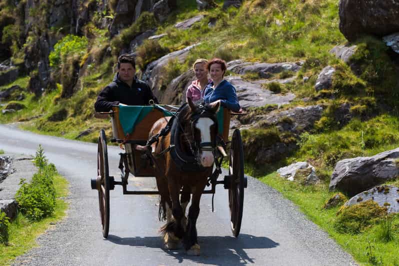 Gap of Dunloe & Lakes of Killlarney Boat Tour - The river meeting point and the boat back