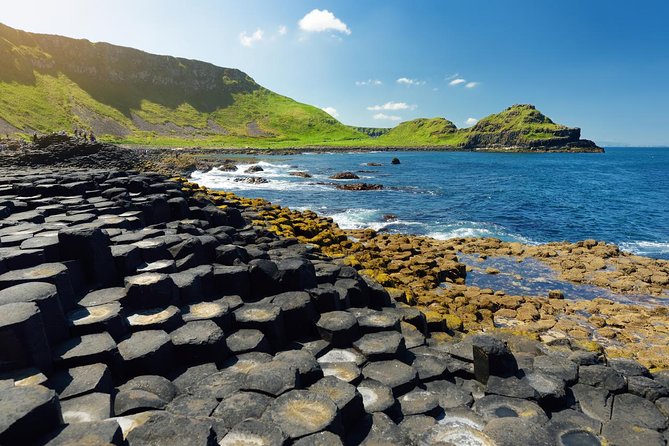 Giant's Causeway Custom Tailored Award Winning Private Tour. - The Dark Hedges and a quick Game of Thrones stop