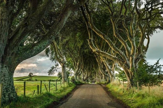 Giant's Causeway Day Tour from Dublin - Transport, Food, and What to Bring