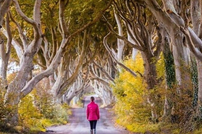 Giants Causeway and Belfast 2 Days with Private Chauffeur Tour - Bushmills Distillery and the tasting stop