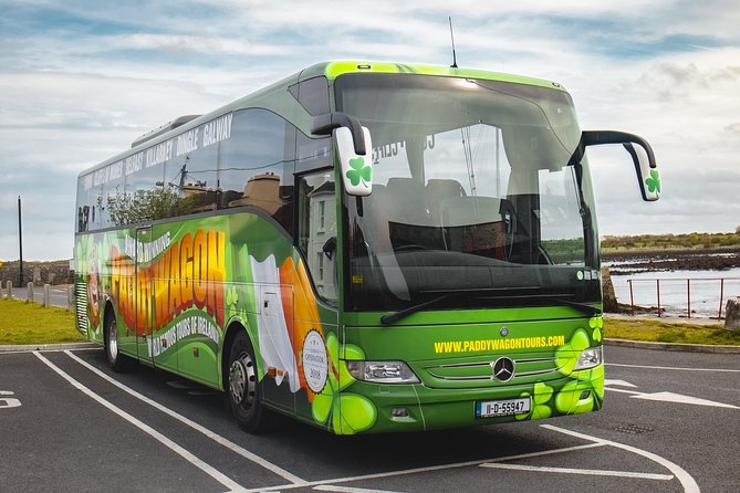 Glendalough Day Tour from Dublin: Including Kilkenny City - Guide quality can shape the whole day