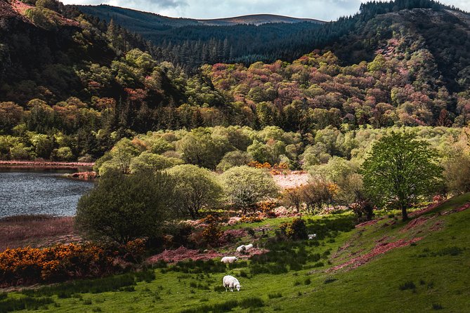 Glendalough Day Tour from Dublin: Including Kilkenny City - Comfort, weather, and practical limits