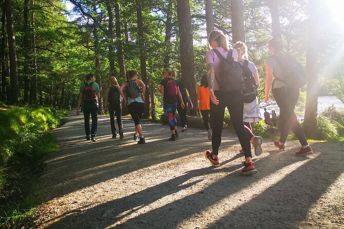 Glendalough Night Hike and History Tour - Ending With Stargazing in County Wicklow