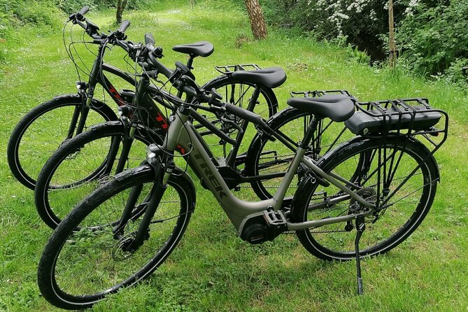 Guided eBike Tour - Killaloe and the Lough Derg Shore - Tuamgraney, an old church and local treats