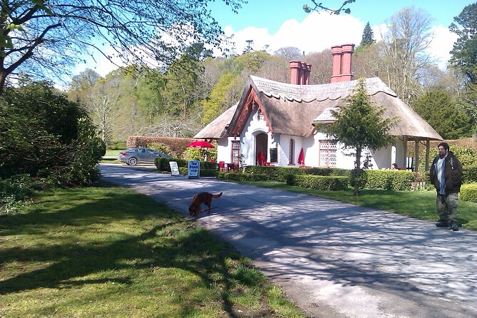 Guided Killarney National Park Walking Tour - Walking the park’s quieter paths