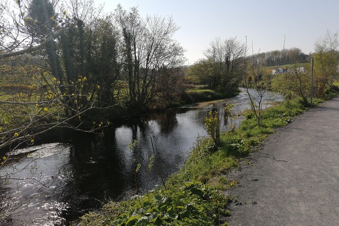 Guided Walking Tour in stunning county Waterford Ireland - How Stíofán shapes the experience