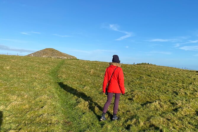 History & Heritage Tour: Kells, Trim, Loughcrew, Fore, Distillery - Who will enjoy this experience most