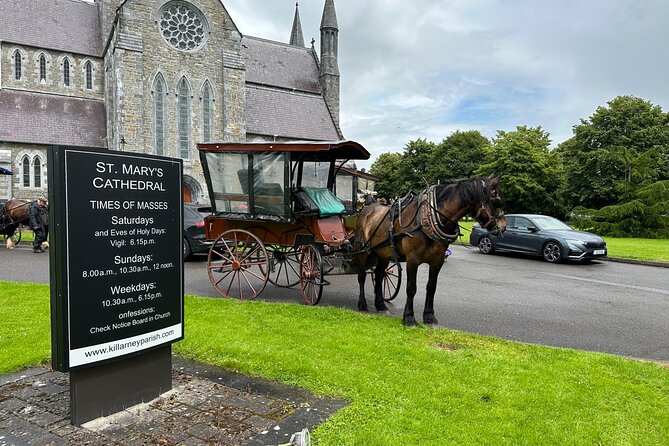 Horse-Drawn Carriage Tours in Killarney - Setting out from Beech Road