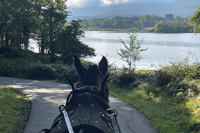 Horse-Drawn Carriage Tours in Killarney - Following the Deenagh River toward the lakes