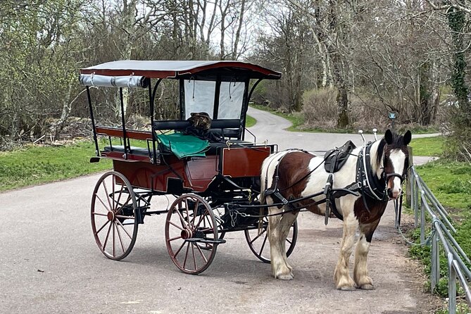 Horse-Drawn Carriage Tours in Killarney - The Lakes of Killarney and Inisfallen
