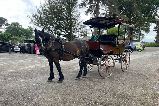 Horse-Drawn Carriage Tours in Killarney - What the ride feels like in rain