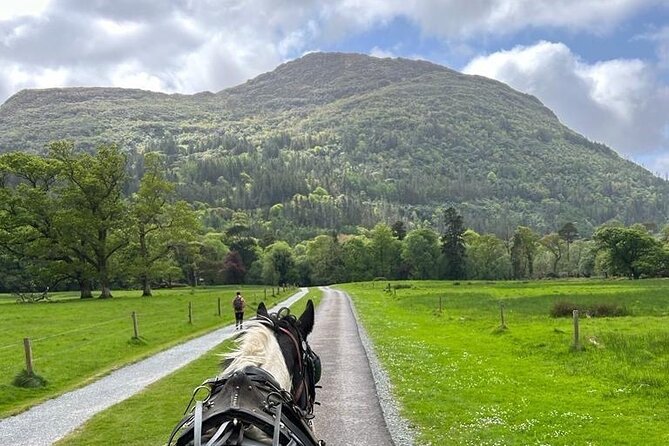 Horse-Drawn Carriage Tours in Killarney - St. Mary’s Cathedral and the first views