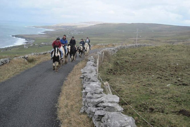 Horse riding - Burren Trail. Lisdoonvarna, Co Clare. Guided. 3 hours. - Trot, canter, and the question of experience