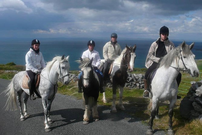 Horse riding - Burren Trail. Lisdoonvarna, Co Clare. Guided. 3 hours. - Is $243.23 good value?