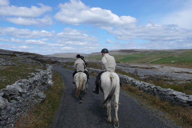Horse riding - Burren Trail. Lisdoonvarna, Co Clare. Guided. 3 hours. - The first hour: settling into the pace