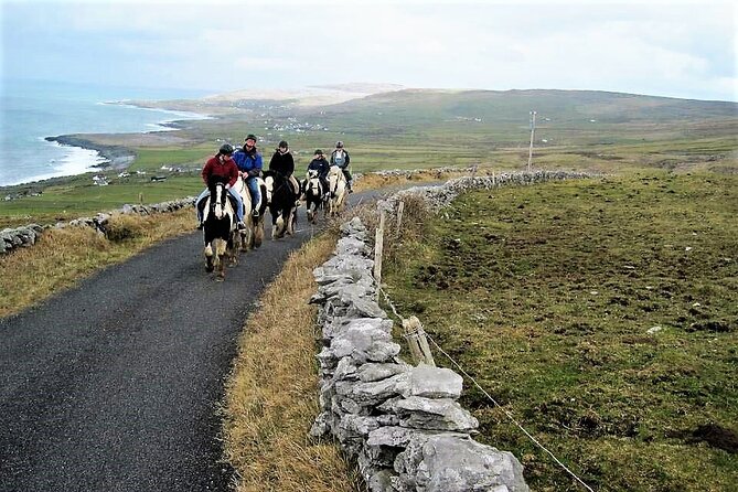 Horse riding - Dirt Trek Trail. Lisdoonvarna, Clare. Guided. 1 hour. - Riding through woodlands and famine ruins