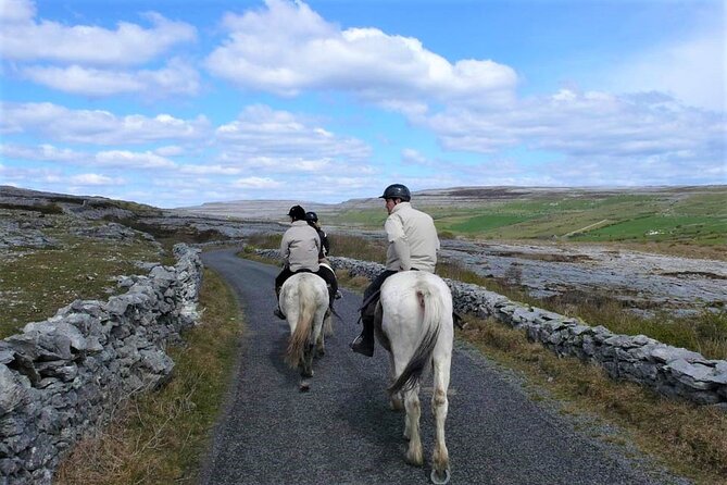 Horse riding - Dirt Trek Trail. Lisdoonvarna, Clare. Guided. 1 hour. - The views toward the Cliffs of Moher and Atlantic islands