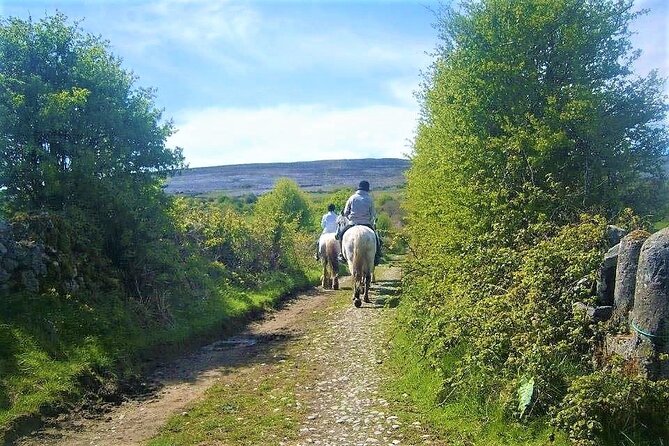 Horse riding - Dirt Trek Trail. Lisdoonvarna, Clare. Guided. 1 hour. - What the one-hour duration really gives you