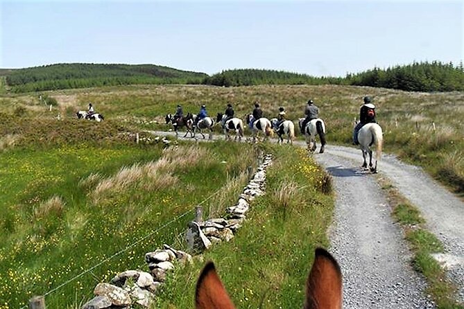 Horse riding - Dirt Trek Trail. Lisdoonvarna, Clare. Guided. 1 hour. - Group size, fitness, and rider restrictions