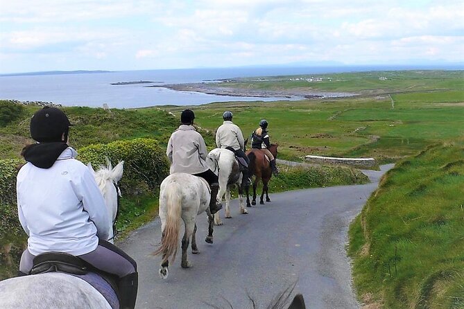 Horse riding - Dirt Trek Trail. Lisdoonvarna, Clare. Guided. 1 hour. - Meeting the horses and getting comfortable