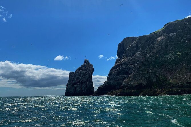 Howth Cliffs and Ireland's Eye Ferry Boat Tour - Is $24.20 Good Value for an Hour on the Water?
