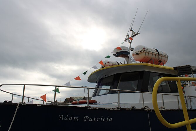 Howth Cliffs and Ireland's Eye Ferry Boat Tour - Practical Booking Advice for a Better Ride