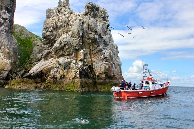 Howth Coastal Boat Tour (Ireland's Eye Ferries 50 mins trip) - Key Points