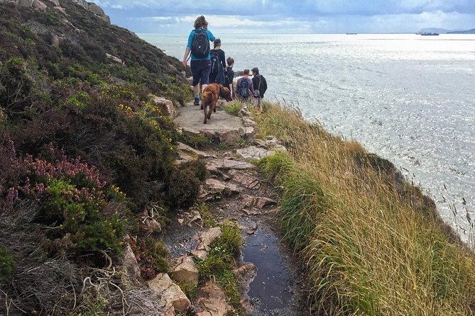Howth Safari Hiking Tour - What the Guides Add to the Day