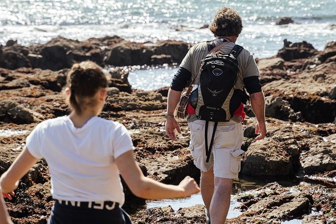 Howth Safari Hiking Tour - Price, Group Size, and Overall Value
