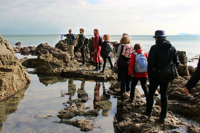 Howth Safari Hiking Tour - Doldrum Beach and the Pleasure of Going Slowly