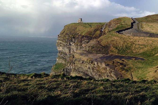 Independent Cliffs of Moher Half Day Trip from Galway - Wildlife, paths, and the visitor facilities